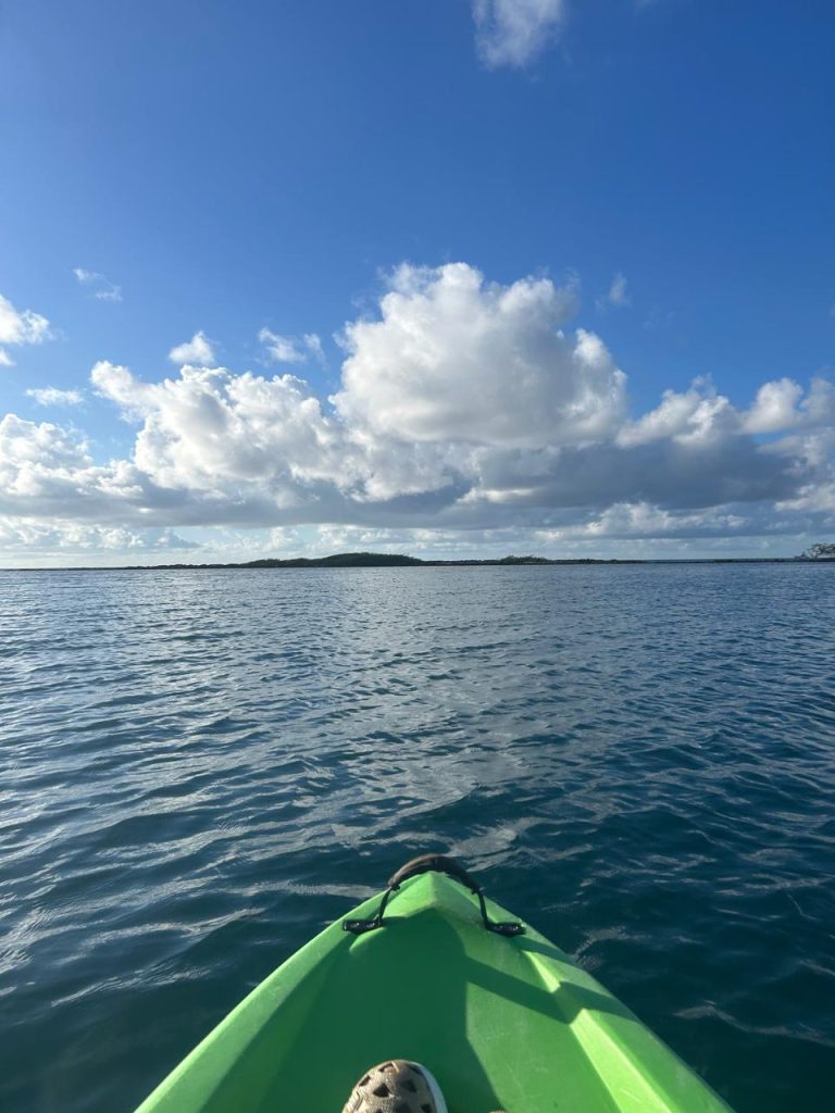 Cruise Excursions in Aruba