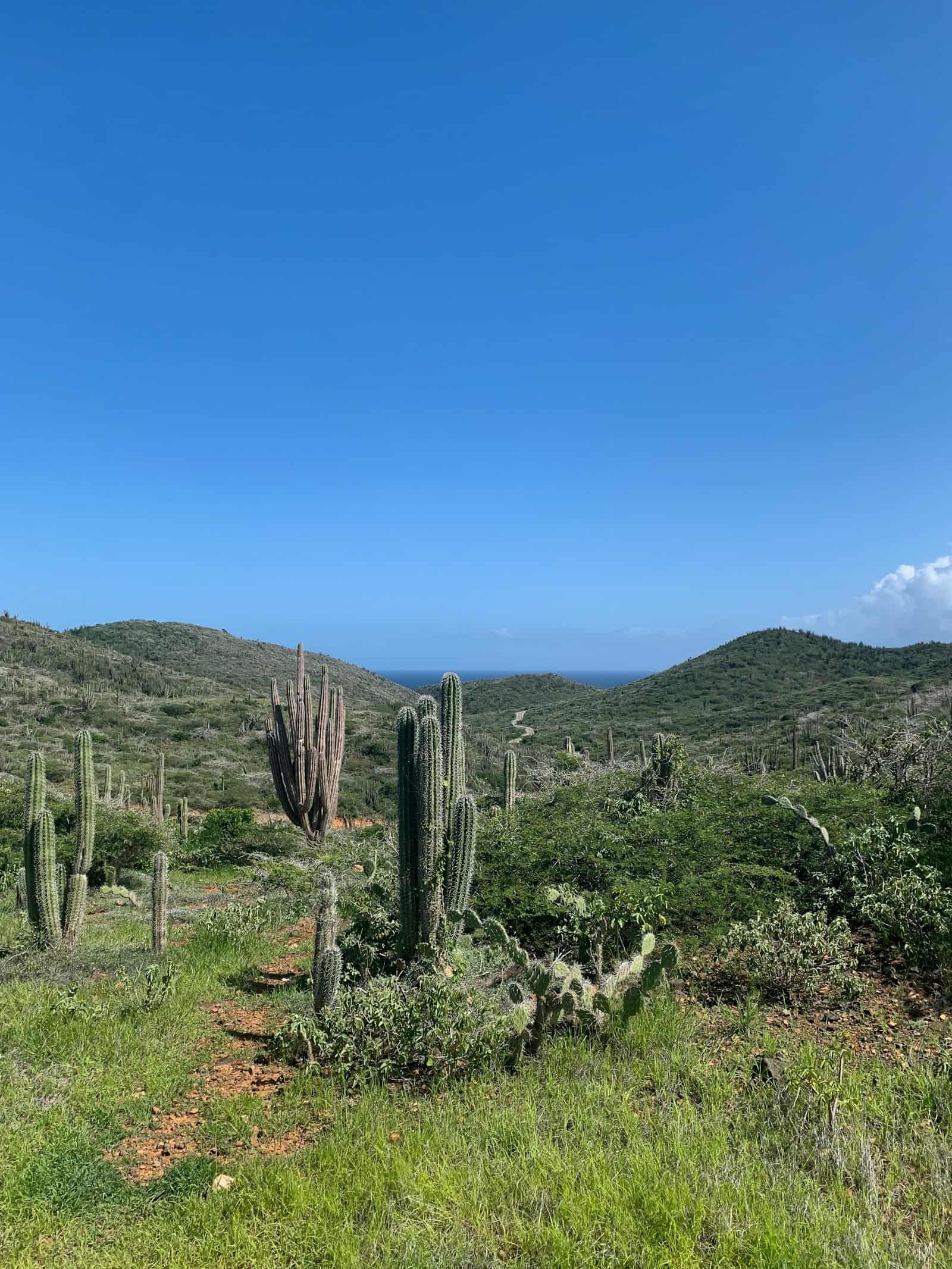 UTV tour through Arikok National Park, Aruba