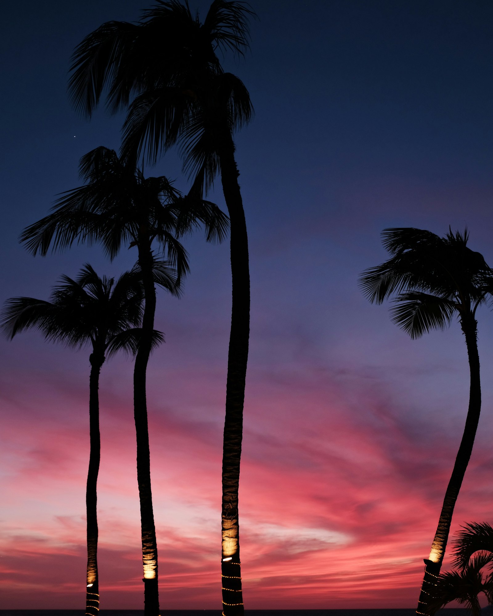 Evening scene along the Palm Beach strip in Aruba