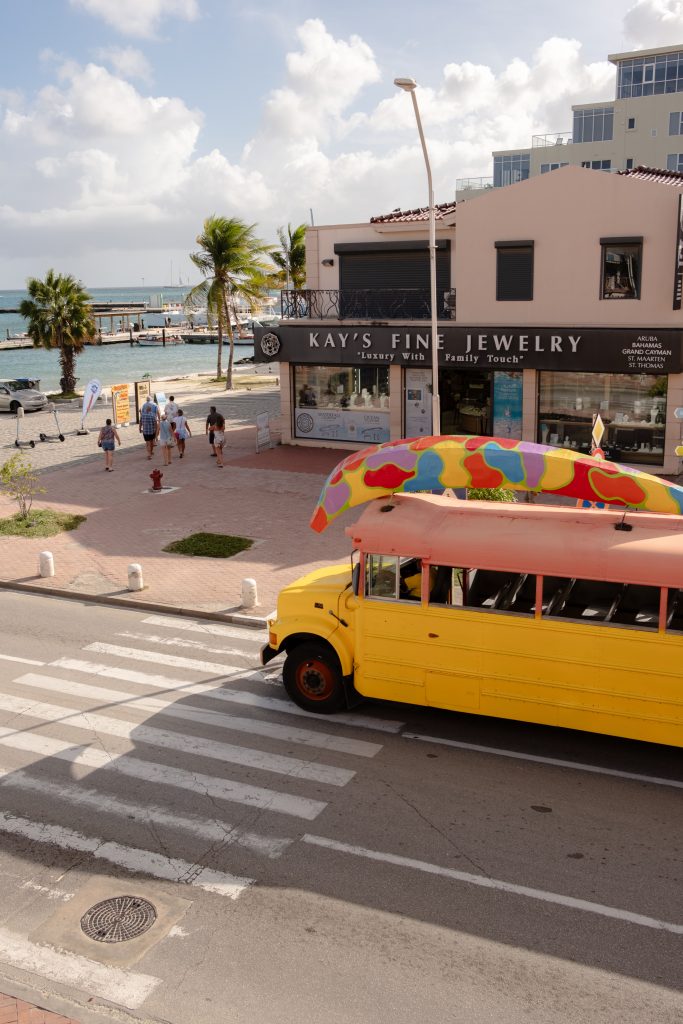 Cruise Excursions in Aruba
